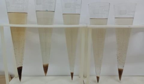 Pesquisa apoiada pelo Governo do Amazonas desenvolve alternativas para aumento da produção de peixes