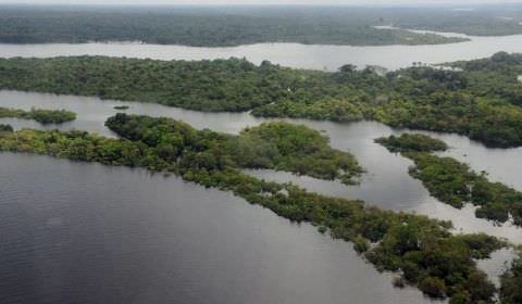 Preservação da Amazônia é prioridade do governo eleito na COP27