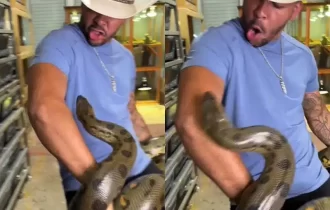 VÍDEO: Homem é picado várias vezes em ataque de Anaconda