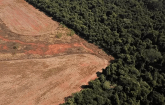 Amazonas tem o segundo pior alerta de desmatamento de novembro