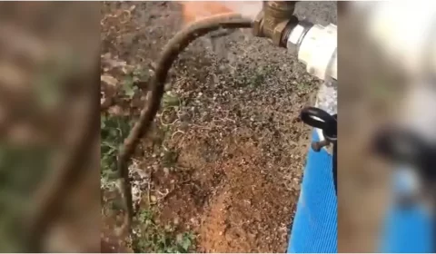 Cobra sai de torneira durante inauguração de poço e assusta moradores no Ceará