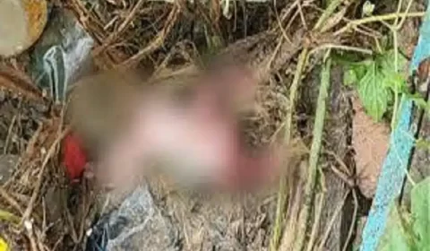 Feto é encontrado em tubulação