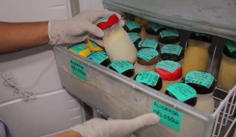 Maternidade Balbina Mestrinho realiza Campanha Natalina de Doação de Leite