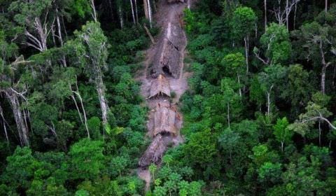MPF: Funai e ICMBio determinam medidas para proteção de indígenas isolados do Mamoriá Grande, em Lábrea (AM)
