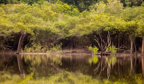 Projeto Yara Amplia coleta de dados do rio Amazonas