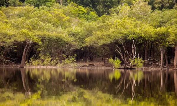 Projeto Yara Amplia coleta de dados do rio Amazonas
