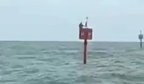 Vídeo: pescador desaparecido é encontrado à deriva pendurado em boia