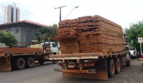 Caminhão com madeira ilegal bate em seis veículos na Cosme Ferreira