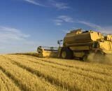 Agro cresce 11,7%, impulsiona PIB e ganha participação na economia