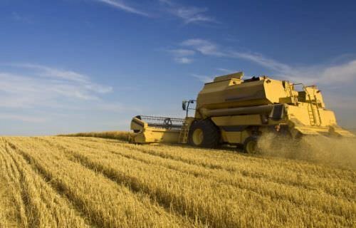 Agro cresce 11,7%, impulsiona PIB e ganha participação na economia