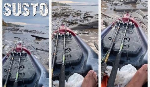 Pescador que passou por susto no Rio Madeira diz que por muita sorte o pior não aconteceu