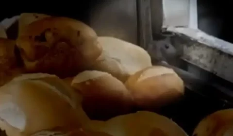 Vídeo: Rato ‘comilão’ é flagrado em estufa de supermercado