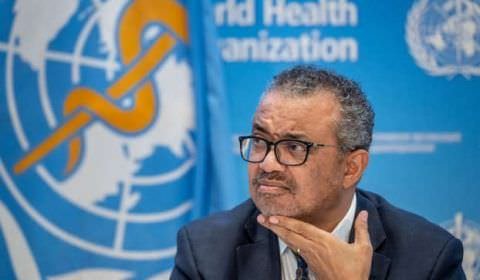 Alerta para o vírus Marburg: letal, sem cura e transmitido por morcegos