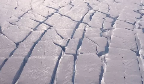 Derretimento da “Geleira do Apocalipse”, na Antártida, preocupa cientistas