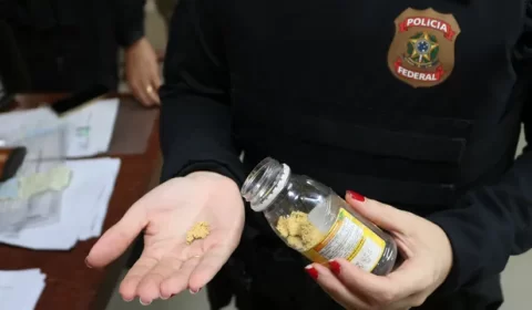 PF fez seis operações contra garimpo ilegal na Amazônia em menos de 1 mês