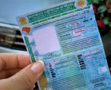 Amazonenses já economizaram R$ 48,1 milhões com gratuidade do curso teórico para CNH