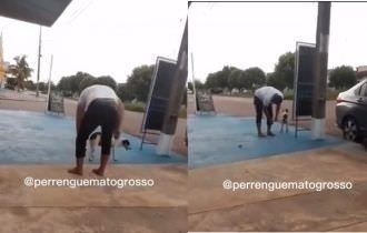 Vídeo: vereador é investigado por amarrar bombinha em cachorro