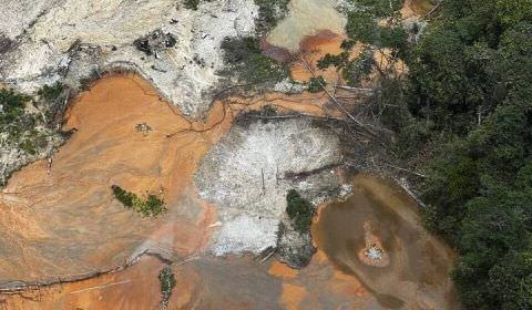 Amazônia tem pior fevereiro em nove anos; governo Lula precisa dar respostas, dizem ambientalistas