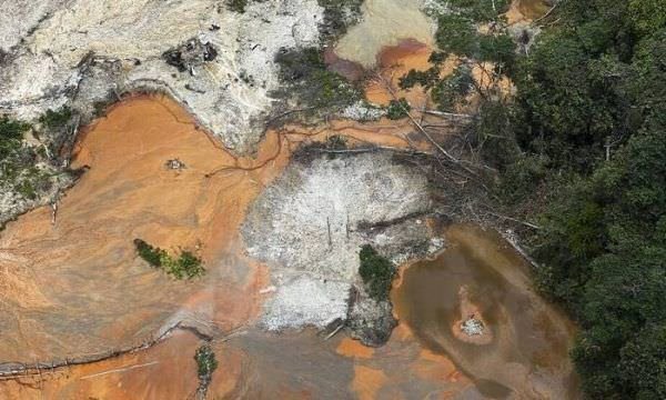 Amazônia tem pior fevereiro em nove anos; governo Lula precisa dar respostas, dizem ambientalistas