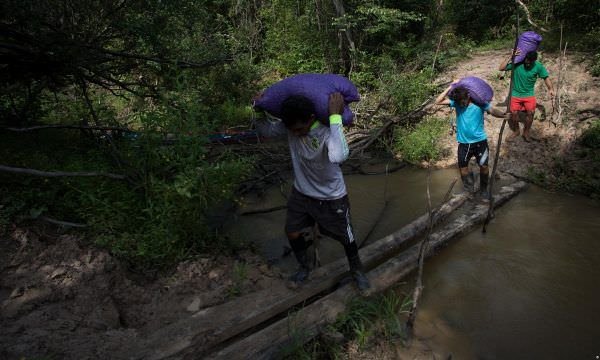 Chefe de reserva no Amazonas é ameaçado após combater garimpo
