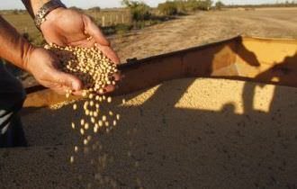 Exportação de soja do Brasil cresce mais em março, diz Anec, que vê aumento no 1º tri