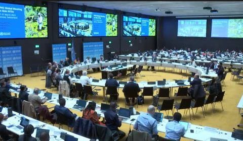 OMS recebe pesquisadoras da Fundação Alfredo da Matta em reunião global sobre doenças negligenciadas