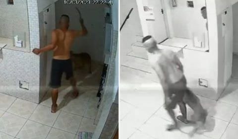 Pit bull é agredido pelo dono com barra de ferro