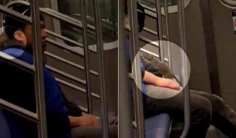 Viagem a dois: ratazana é flagrada sobre passageiro de metrô dorminhoco