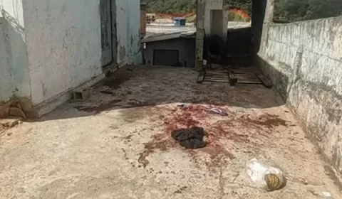 Homem mata pit-bull a facadas ao ver cachorro atacar donos
