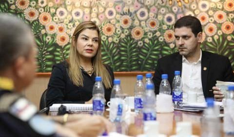 Integrantes de Comitê Interinstitucional e do Nise se reúnem com representantes de Escolas Particulares