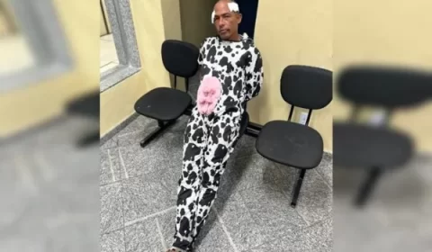 Ladrão fantasiado de vaca é preso ao tentar furtar jovem