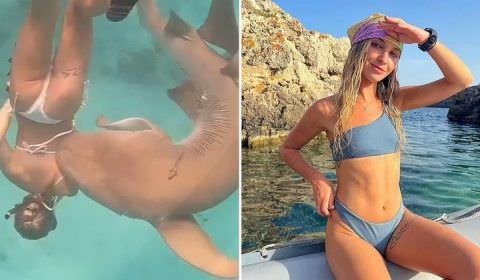 Turista é mordida por tubarão nervosinho, limpa as feridas e mergulha de novo