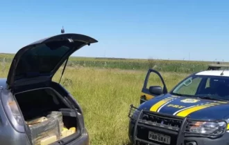 Adolescente é apreendido ao transportar 168kg de maconha