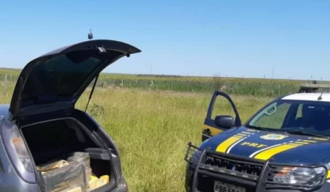 Adolescente é apreendido ao transportar 168kg de maconha