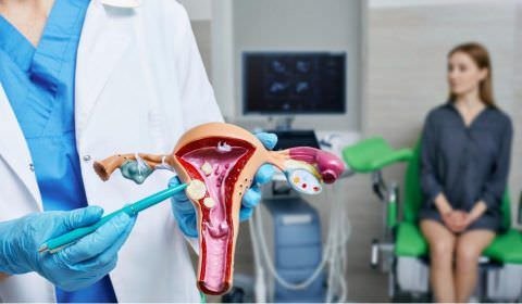 Miomas uterinos afetam até 70% das mulheres, mas raramente levam à infertilidade feminina