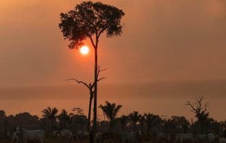 Mundo terá calor recorde até 2027 e choverá menos na Amazônia, prevê ONU