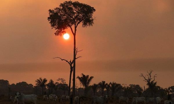 Mundo terá calor recorde até 2027 e choverá menos na Amazônia, prevê ONU