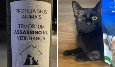 Suspeito de matar animais é preso : “Um assassino na vizinhança”
