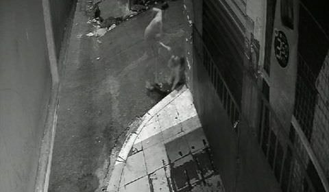 URGENTE: mulher tenta matar cachorro a facadas em Manaus