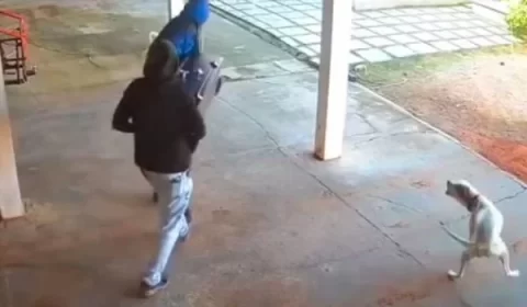 Vídeo: criminosos “trapalhões” caem em piscina durante furto de cofre
