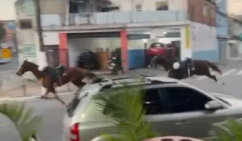 Vídeo: sargento leva coice e cavalos da PM fogem assustados por ruas