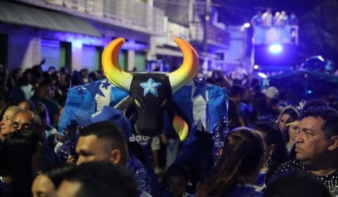 Boi Caprichoso arrasta multidão no 'Boi de Rua'