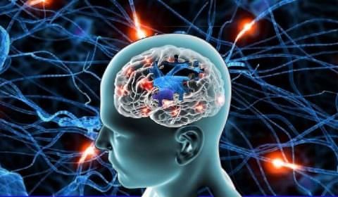 Genética ou estilo de vida? Pesquisas recentes sobre o Alzheimer estão mudando o que se sabia sobre a doença
