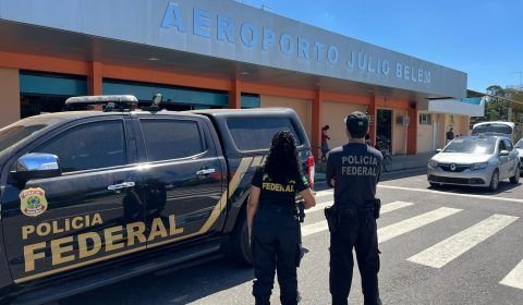 PF e PM/PR apreendem maconha