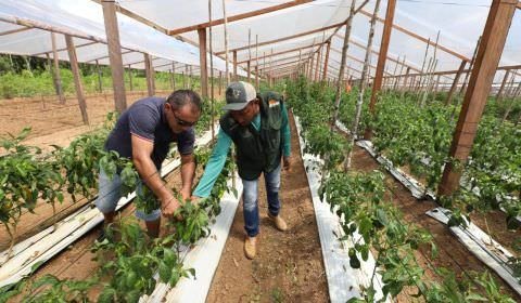 Plano Safra Amazonas: mais de R$ 2,2 bilhões estão disponíveis para acesso ao crédito para o biênio 23/24