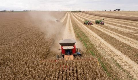 Região Norte: 53% da população enxerga agronegócio como setor que mais gera riqueza