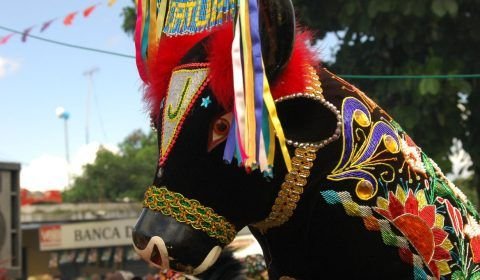 Iphan cria programa de bolsas para pesquisa do folclore