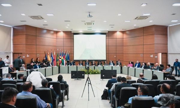 Vice-governador Tadeu de Souza participa de debates do conselho da Sudam que aprovaram o PRDA 2024-2027