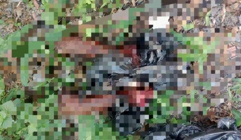 Pedaços de corpo humano é encontrado em comunidade de Manaus (vídeo)