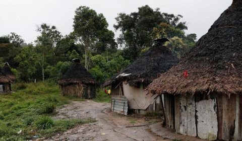 Ataque a tiros em aldeia yanomami mata criança e deixa cinco feridos